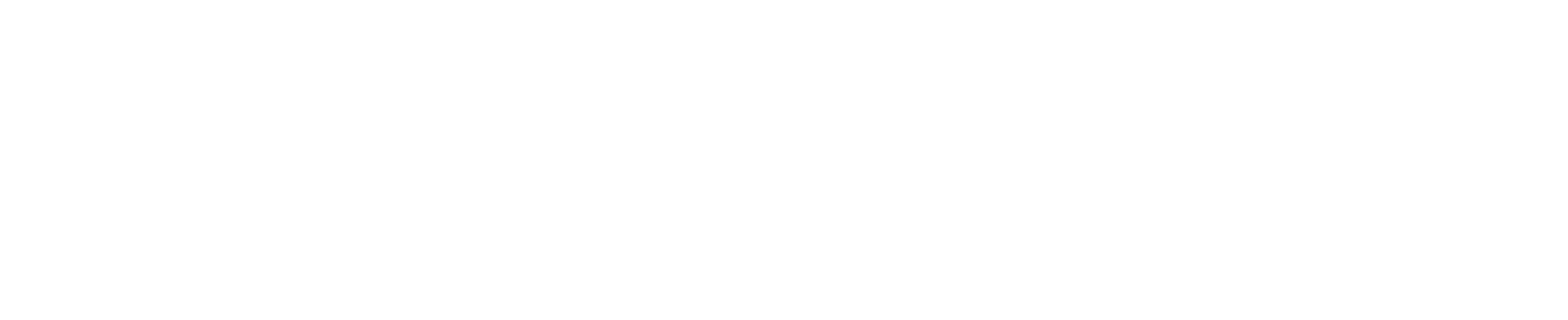 Essence logo