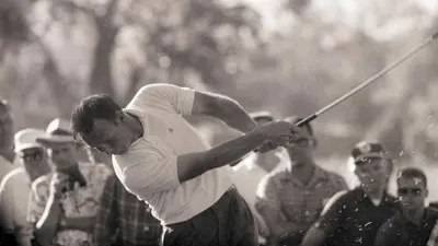 Amazing Arnold