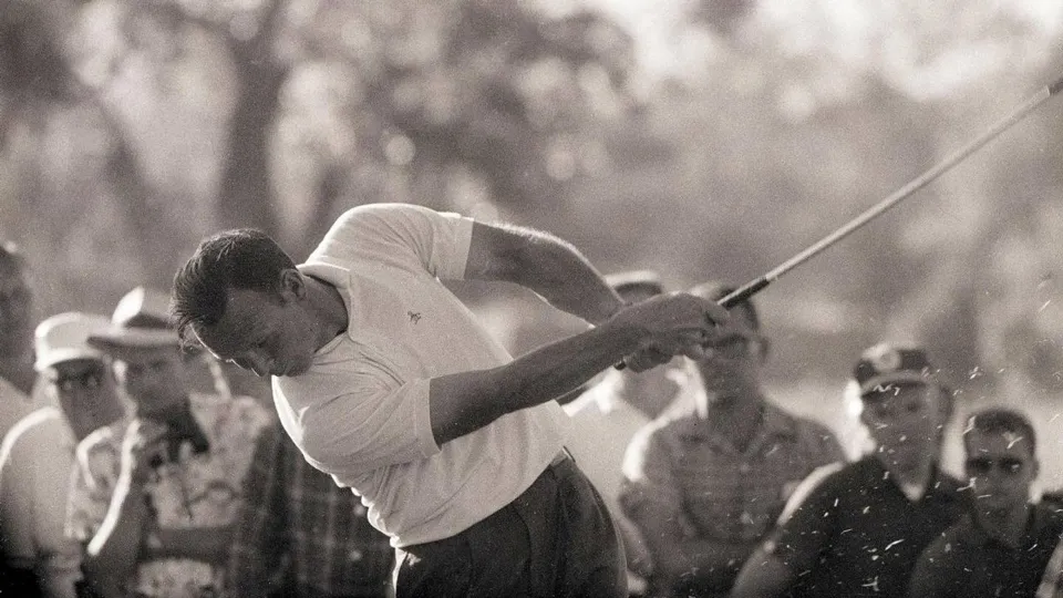 Amazing Arnold