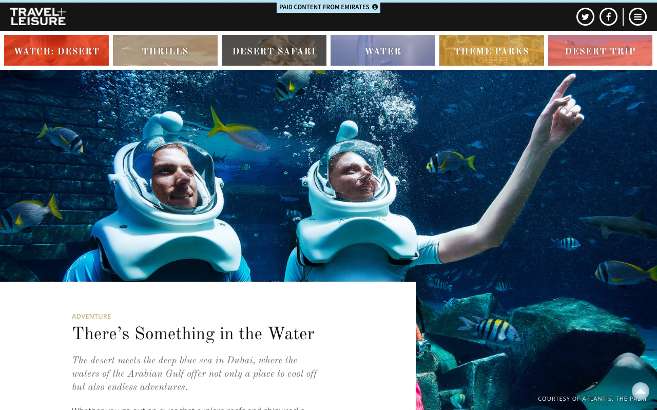 Experience Dubai project image