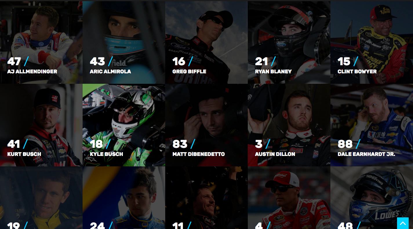 Nascar Sprint Cup project image