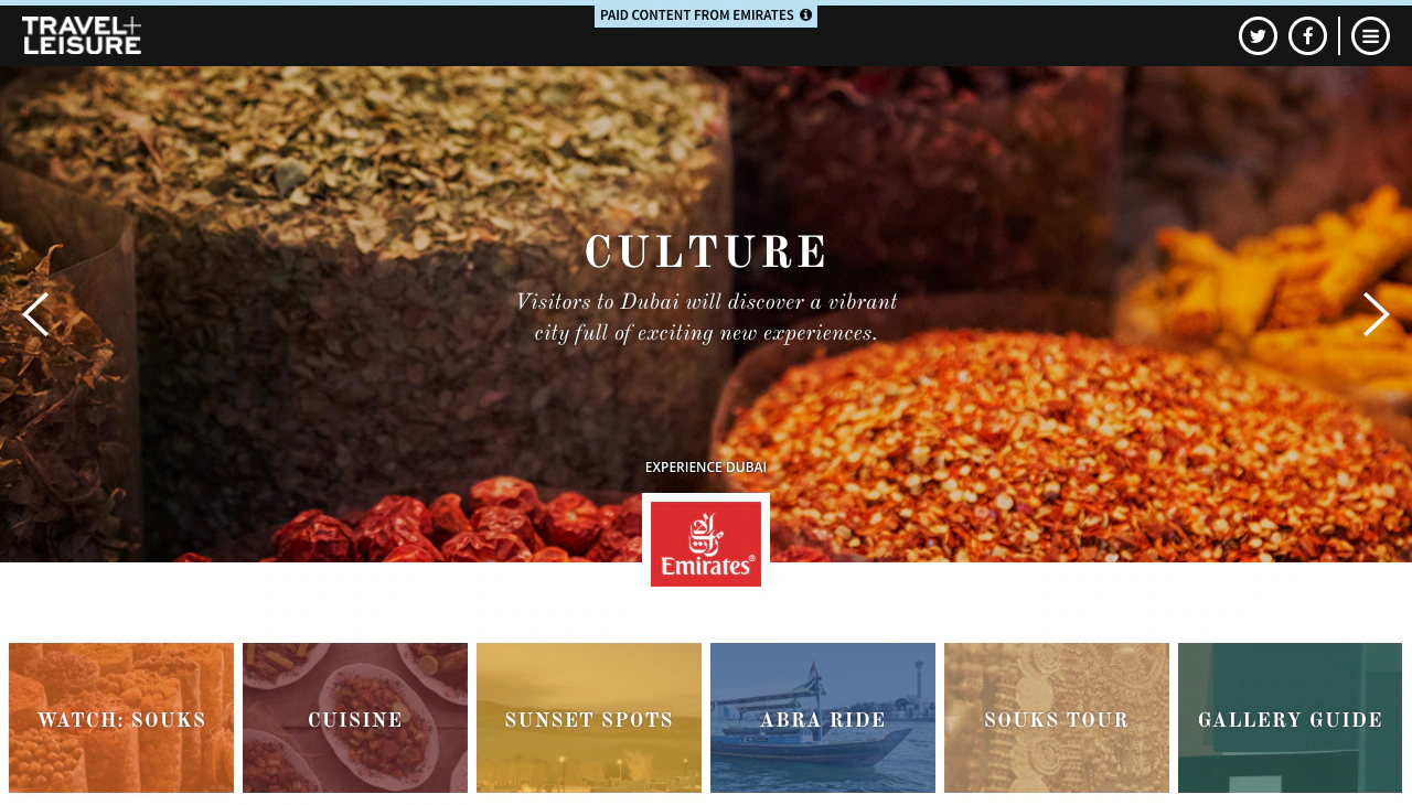 Experience Dubai project image