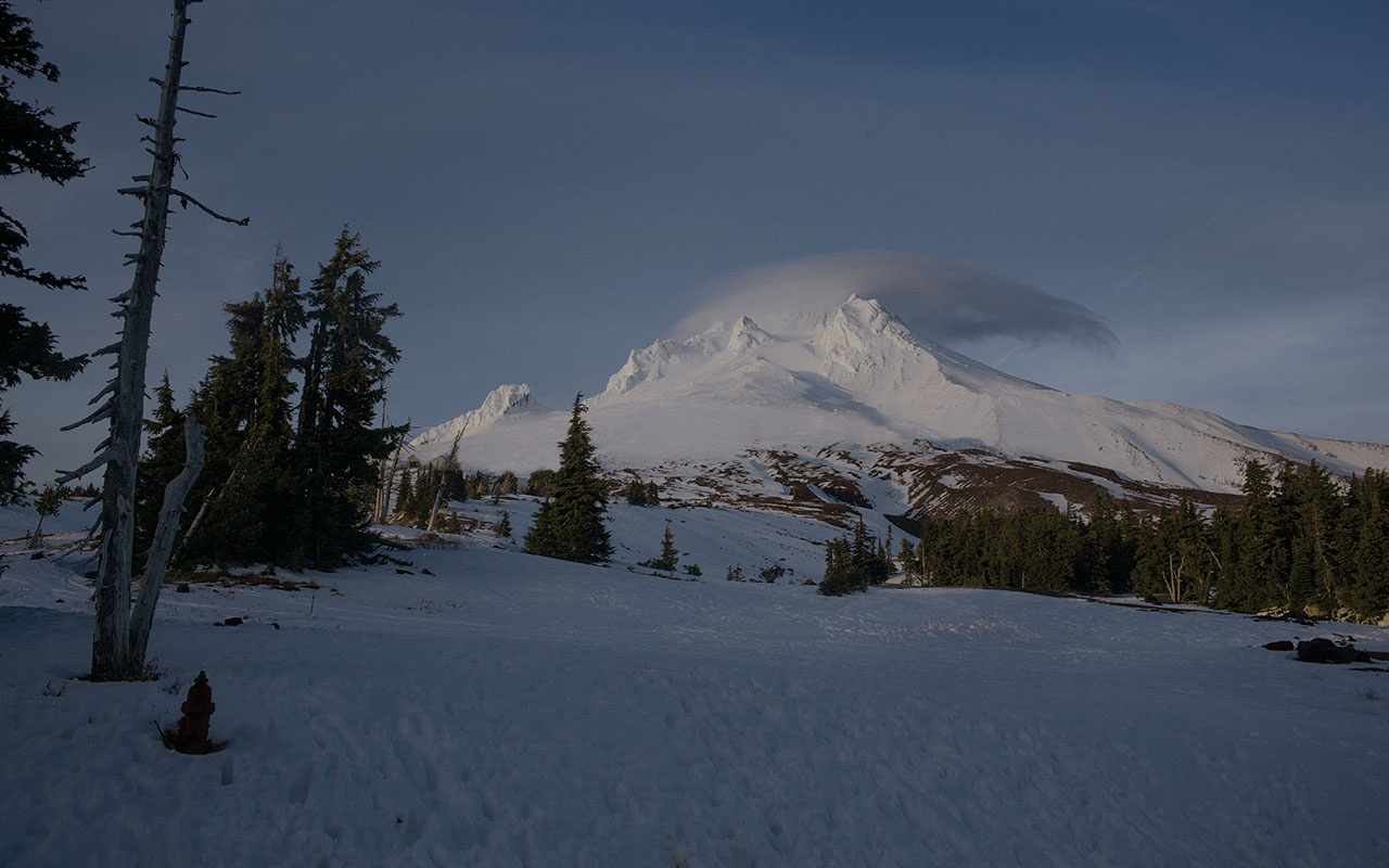 A snow-covered mountain rising above evergreen trees in Oregon.